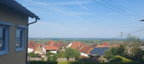 Traumblick Südpfalz